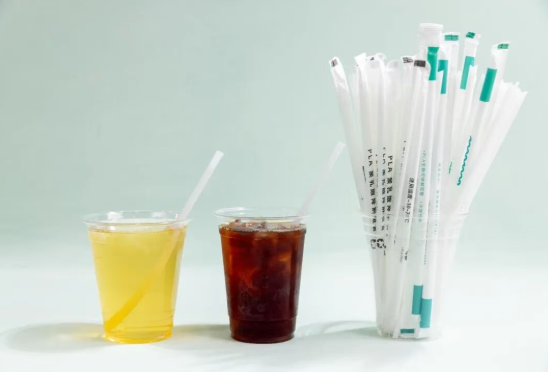 Acide polylactique (PLA) : Une star environnementale parmi les plastiques biodégradables